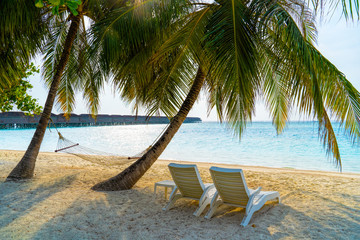 Fototapeta na wymiar Empty hammock between palms trees at sandy beach