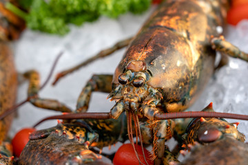 Sea fresh lobster at street market in Thailand. Seafood concept. Raw lobster for cooking, closeup