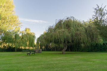 walk to disconnect through the park at the beginning of autumn