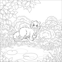 River otter in grass by a small lake in a wild forest on a summer day, black and white vector illustration in a cartoon style for a coloring book
