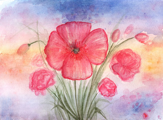 Bouquet of Red Poppies. Hand-drawn, watercolor poppy flowers. Floral background. Botanical concept.