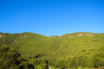 Fototapeta na wymiar Green hill view with a blue sky background