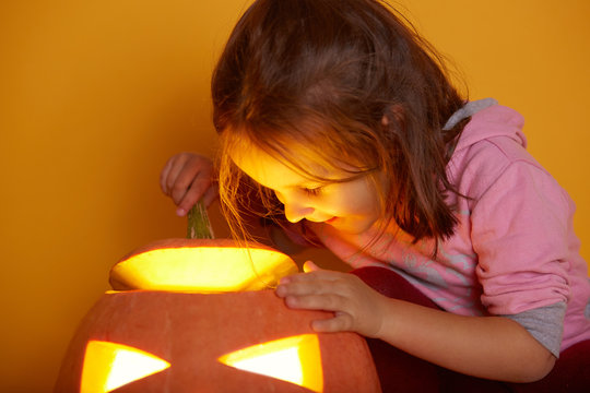 Close up portrait of little girl carving pumpkin at Halloween. Child playing with Jack o Lantern, toddler kid dresses pink shirt looking at luminous orange pumpkin isolated over yellow background.