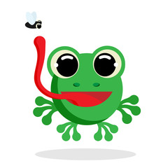 frog flat vector