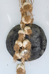 Vintage frying pan and bunch of garlic on a white wall, closeup. Kos island, Greece