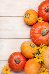 Festive background with pumpkins and yellow flowers on light wooden surface. Copy space, top view