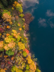 Fototapeta na wymiar Colourful lake shore in autumn