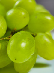 Weintrauben