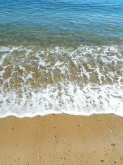 sea beach summer sunny day