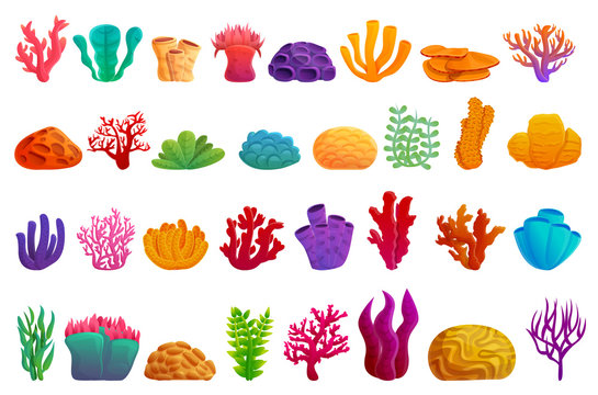 Coral icons set. Cartoon set of coral vector icons for web design