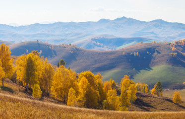 Autumn view. The picturesque valley. Forested slopes and mountains in the distance in a blue haze.