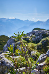 Mountain landscape in Austria, cloudy, forests, rocks, city in the mountains, summer