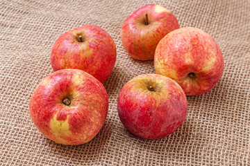 still life of home grown red juicy apples on a rough fabric