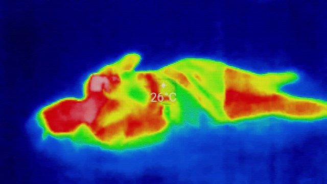 Woman on bed sleeping and cell phone near. IR Infrared Thermal image