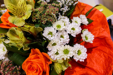 A bouquet of different flowers close-up. Floral holiday background