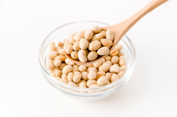 炒り大豆,煎り大豆,焼大豆（豆菓子）