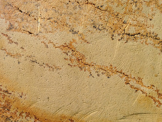 Natural Palimanan Yellow Sandstone Wall Texture