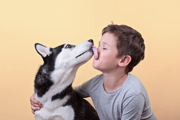 Bi-eyed siberian husky dog licking brunette boy kissing his surprised with lazy-eyes on the orange background