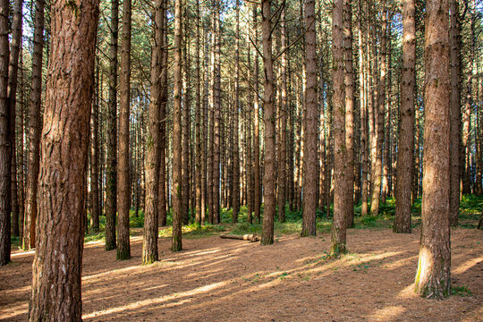 parco nazzionake dell' aspromonte