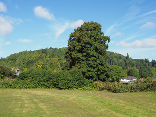 Countryside in Tintern