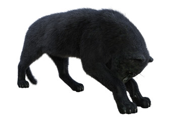 3D Rendering Black Panther on White