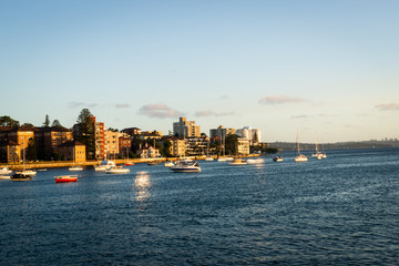 Obraz premium SONY DSC