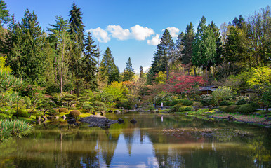 Tranquil and beautiful japanese garden with a lake
