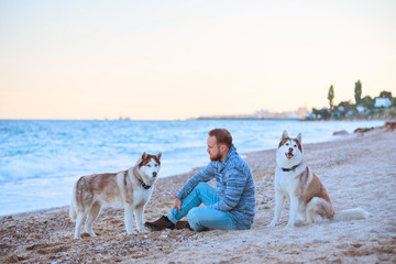 Man with red beard in jeans and sweater sitting with two dog siberian husky breed on the sandy beach