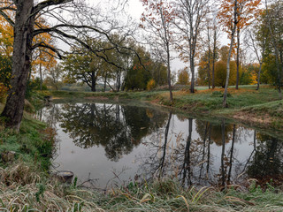 Fototapeta na wymiar quiet landscape with autumn trees on the water's edge, beautiful reflections