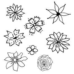Obraz premium Set of black and white vector floral greeting card with blooming garden flowers, botanical natural Illustration on white background in hand drawn doodle style.