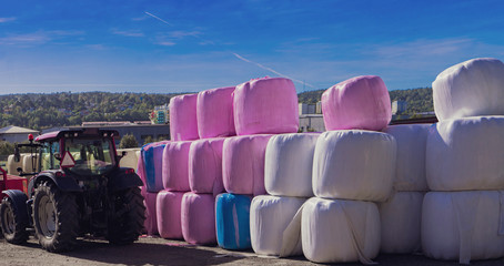 Red silage that supports the breast cancer fund and blue that supports the prostate cancer fund