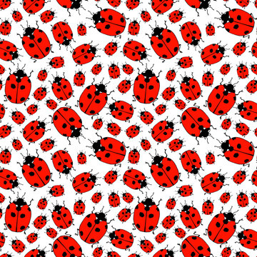 Seamless pattern from lady bugs. Doodle sketch. Colorful outline on white background. Picture can be used in greeting cards, posters, flyers, banners, logo, botanical design etc. Vector illustration