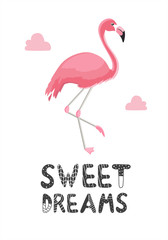 Lettering sweet dreams with flamingos