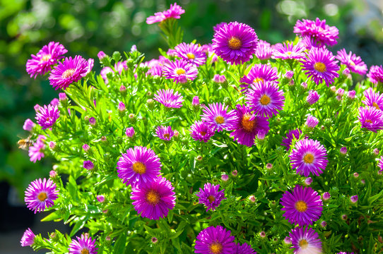 รูปภาพPokrovka เลือกดูภาพถ่ายสต็อก เวกเตอร์ และวิดีโอ68 Adobe Stock