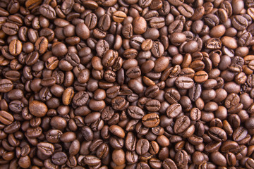 Fototapeta premium Tło palonych ziaren kawy, brązowe ziarna kawy mogą być używane jako tło.