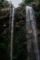 waterfall in forest