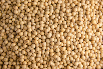 Soybean pattern as for background.