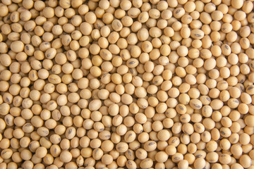 Soybean pattern as for background.