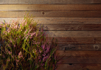 Blooming pink heather (calluna vulgaris) on a rustic wooden background.