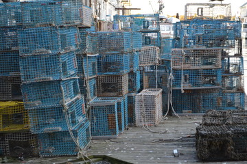 Lobster crates
