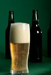 Beer fashion. Green and cold. 