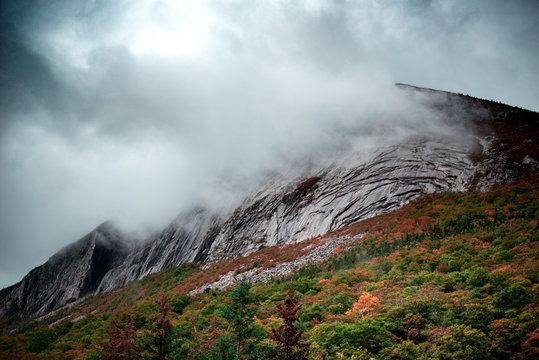 Moutain and forest behind fog