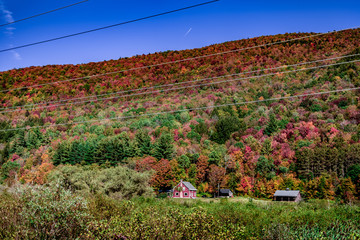 Fall in the New-York state