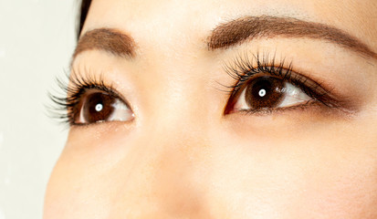 Obraz premium まつげエクステンション施術 140本