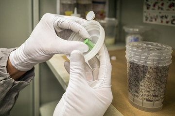 Preparation of varnish for painting the car in the laboratory of the body shop