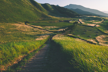 奈良県　曽爾高原のススキと秋の夕景