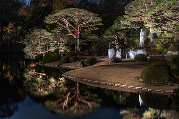 Autumn night light-up of big pine trees around a pond and the islet of the Rikugien garden in Tokyo.