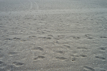 Suelo de playa