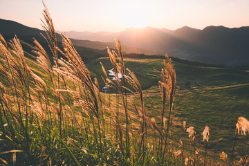 奈良県　曽爾高原のススキと秋の夕景