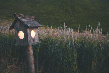 奈良県　曽爾高原のススキと秋の夕景